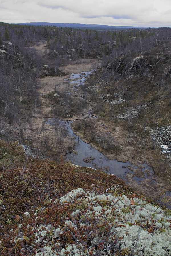 Могильный Ров, изображение ландшафта.