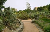 Image of landscape