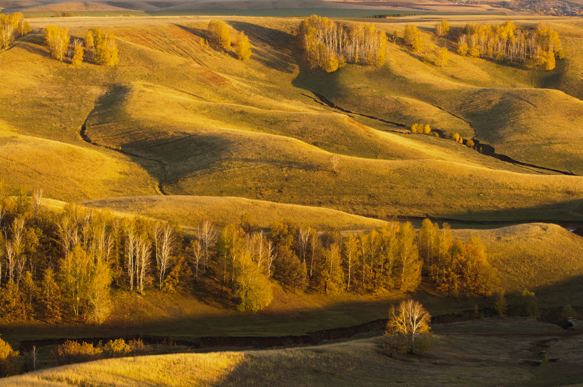 Заказник "Чатыр-Тау", image of landscape/habitat.