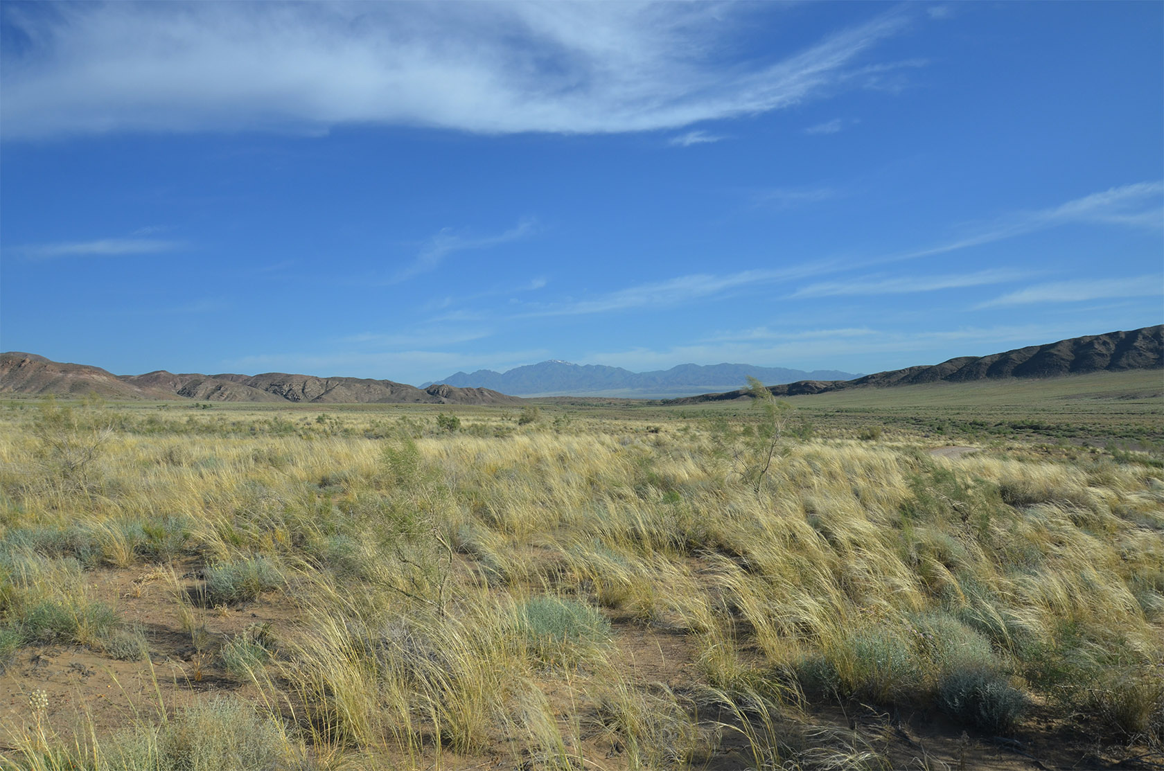 Айгайкум (Поющий бархан), image of landscape/habitat.