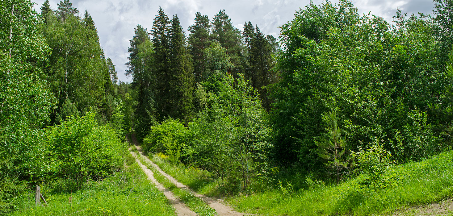 Саргая и окрестности, изображение ландшафта.