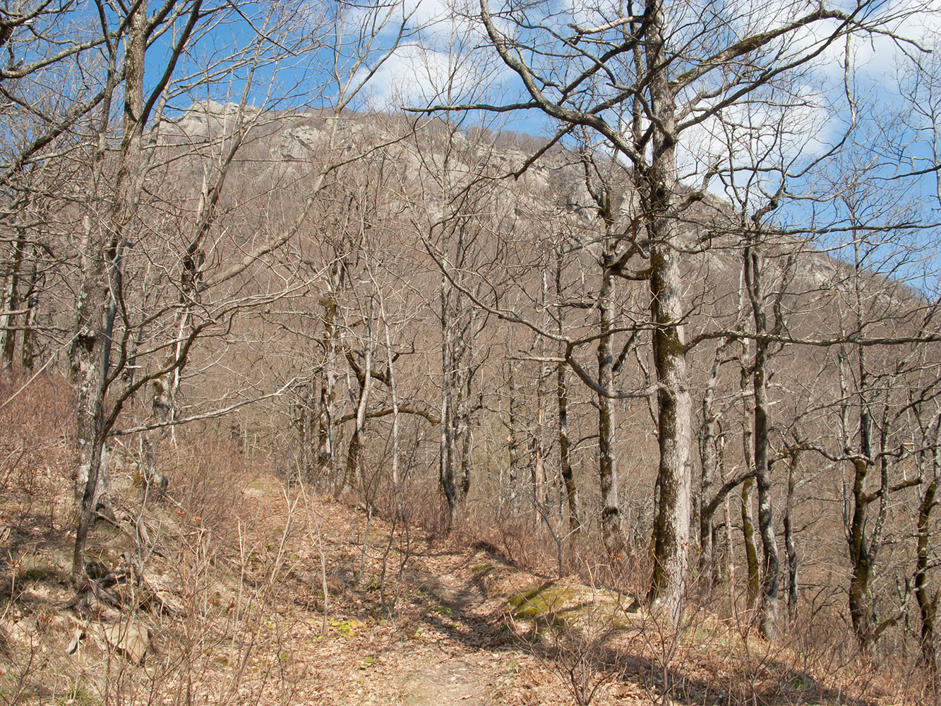 Гора Индюк, image of landscape/habitat.