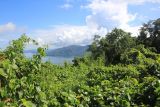 Image of landscape