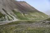 Image of landscape