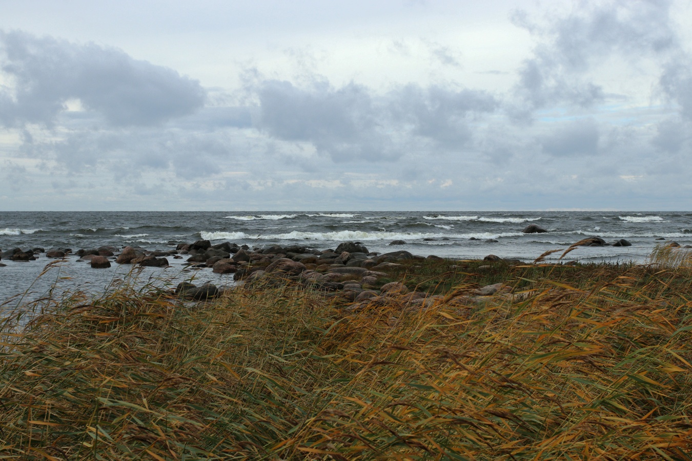 Каравалдай, image of landscape/habitat.