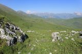Перевал Хазнывцек, image of landscape/habitat.