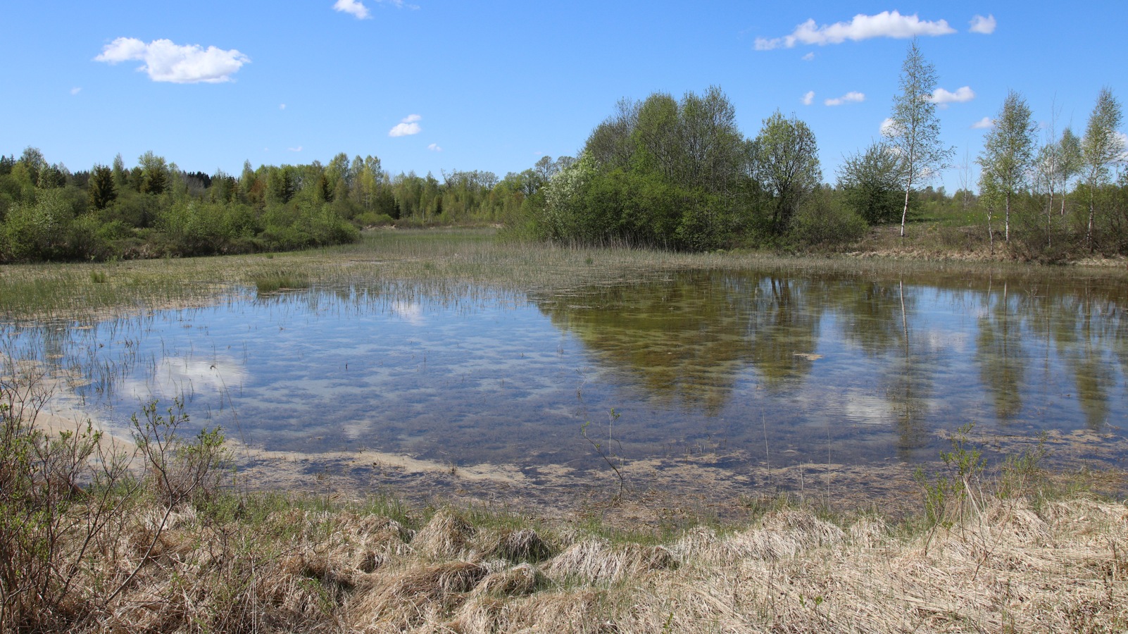 Окрестности Пудости, image of landscape/habitat.