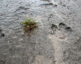 Image of landscape