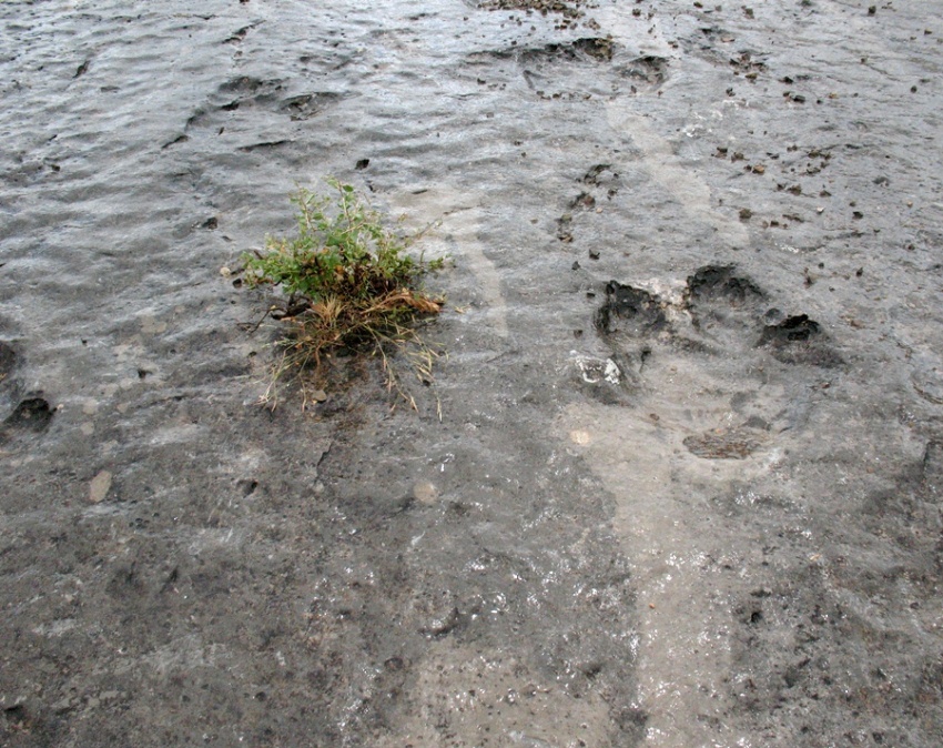 Кугитанг, image of landscape/habitat.
