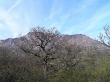 Image of landscape