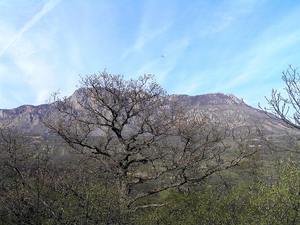 Окрестности села Лучистое, image of landscape/habitat.