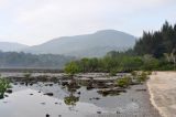 Окрестности города Диглипур, image of landscape/habitat.