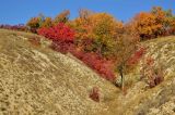 Калмыцкий Яр, изображение ландшафта.