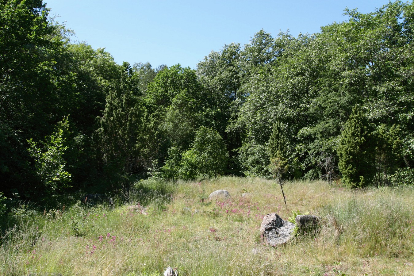 Каравалдай, image of landscape/habitat.