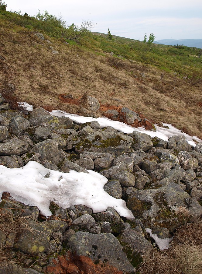 Лувеньгские Тундры, image of landscape/habitat.