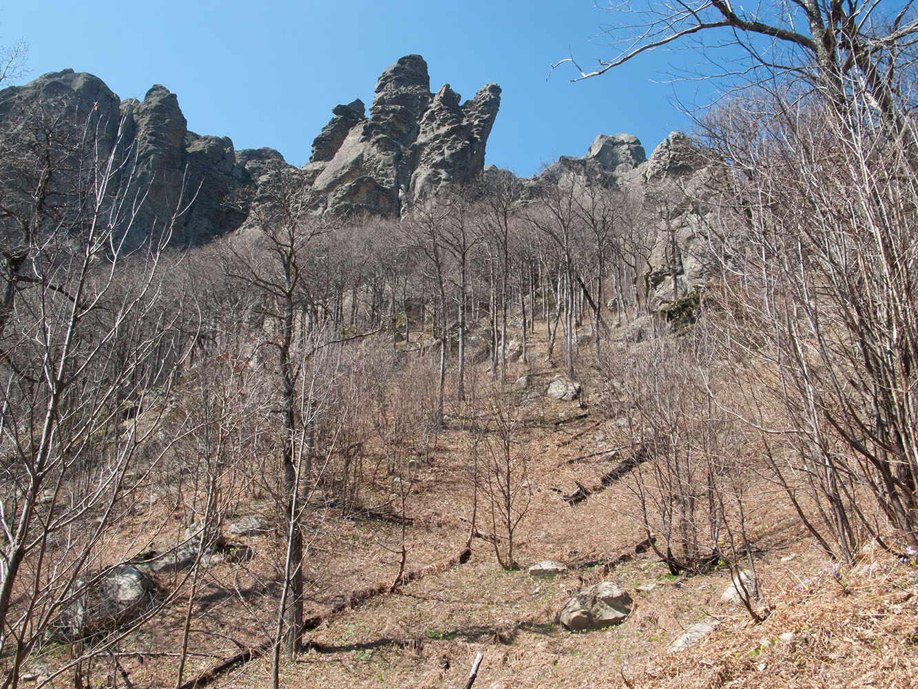 Гора Индюк, изображение ландшафта.