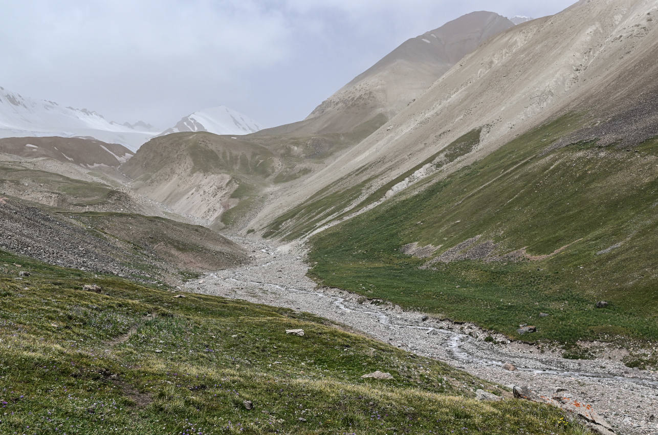 Луковая Поляна, image of landscape/habitat.