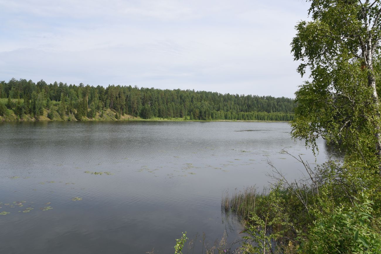 Река Куказар, изображение ландшафта.