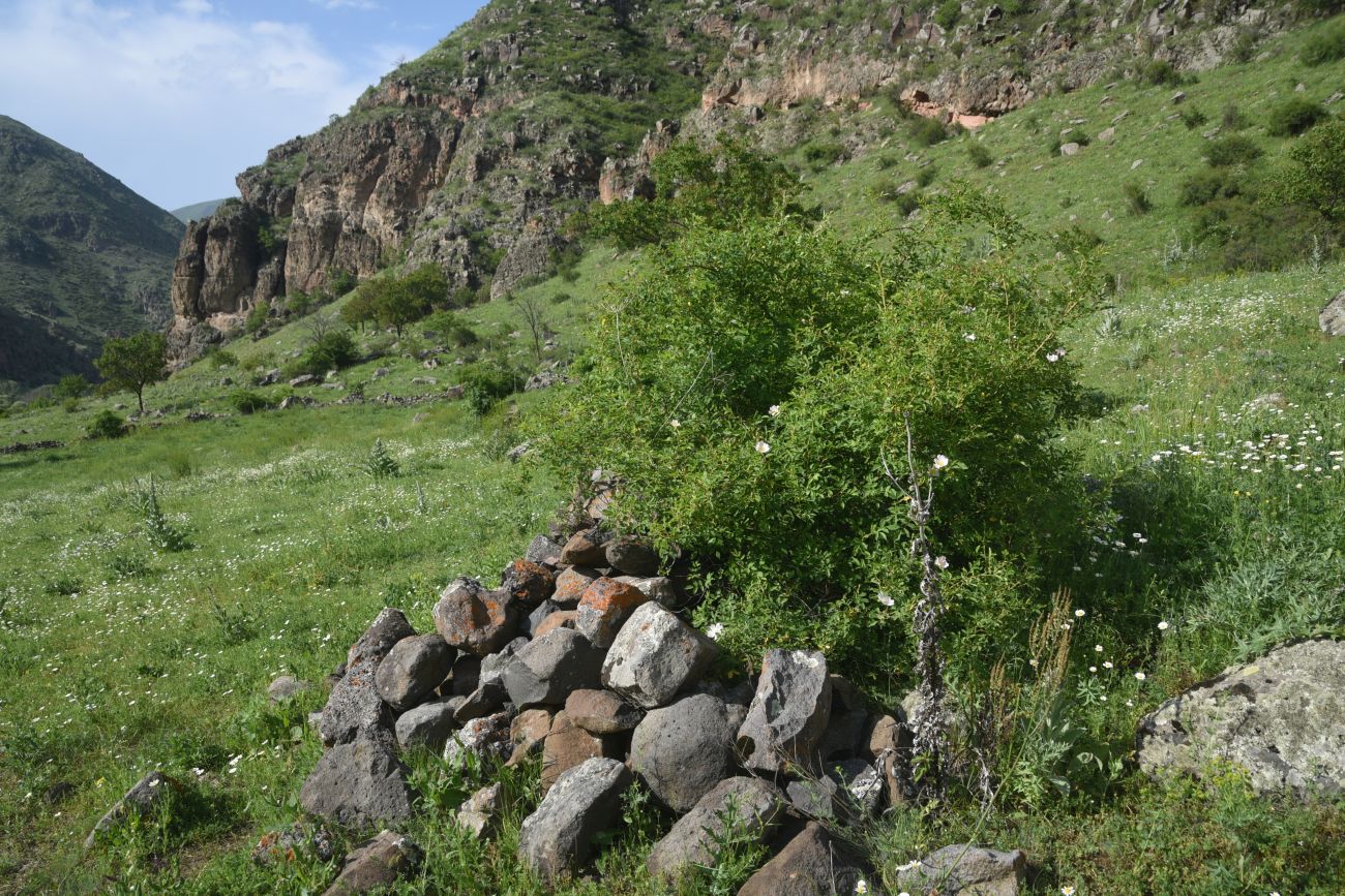 Урочище Тавкветула, изображение ландшафта.