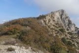 Image of landscape