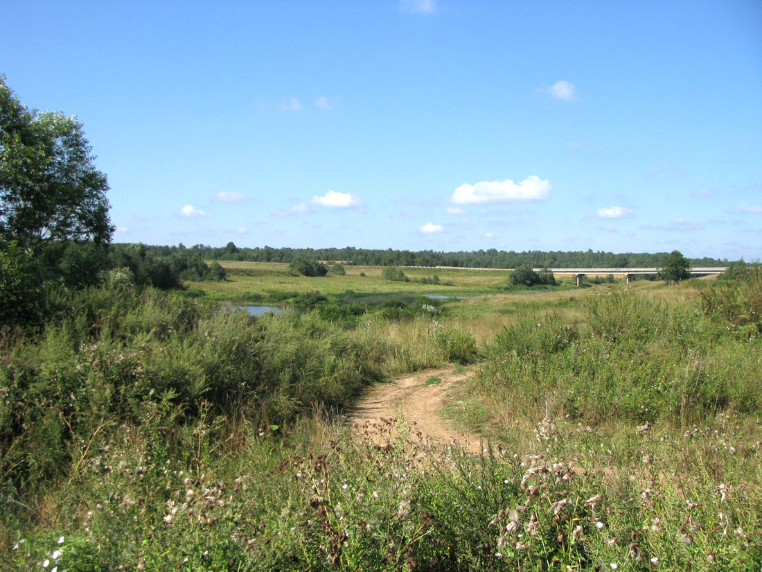 Корожечна у Масальского, image of landscape/habitat.