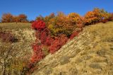 Калмыцкий Яр, image of landscape/habitat.