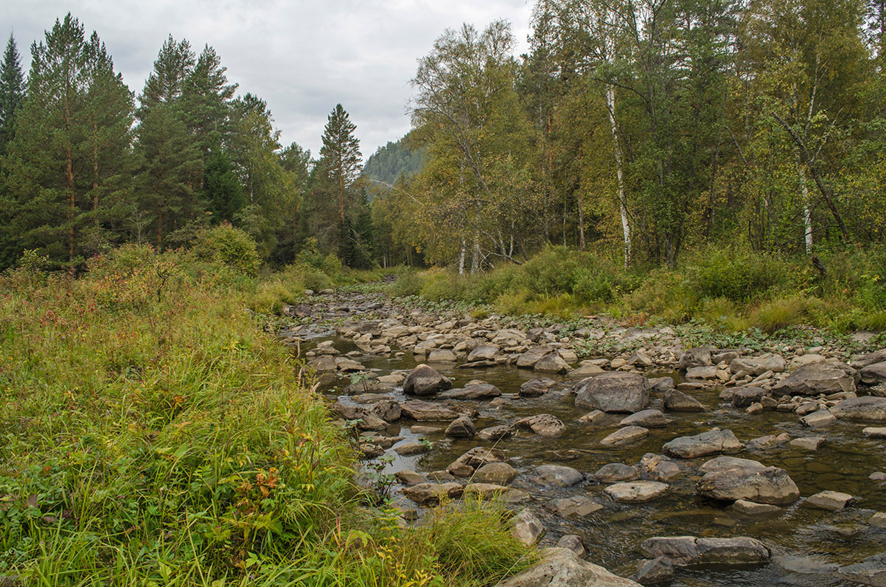 Окрестности деревни Отнурок, image of landscape/habitat.