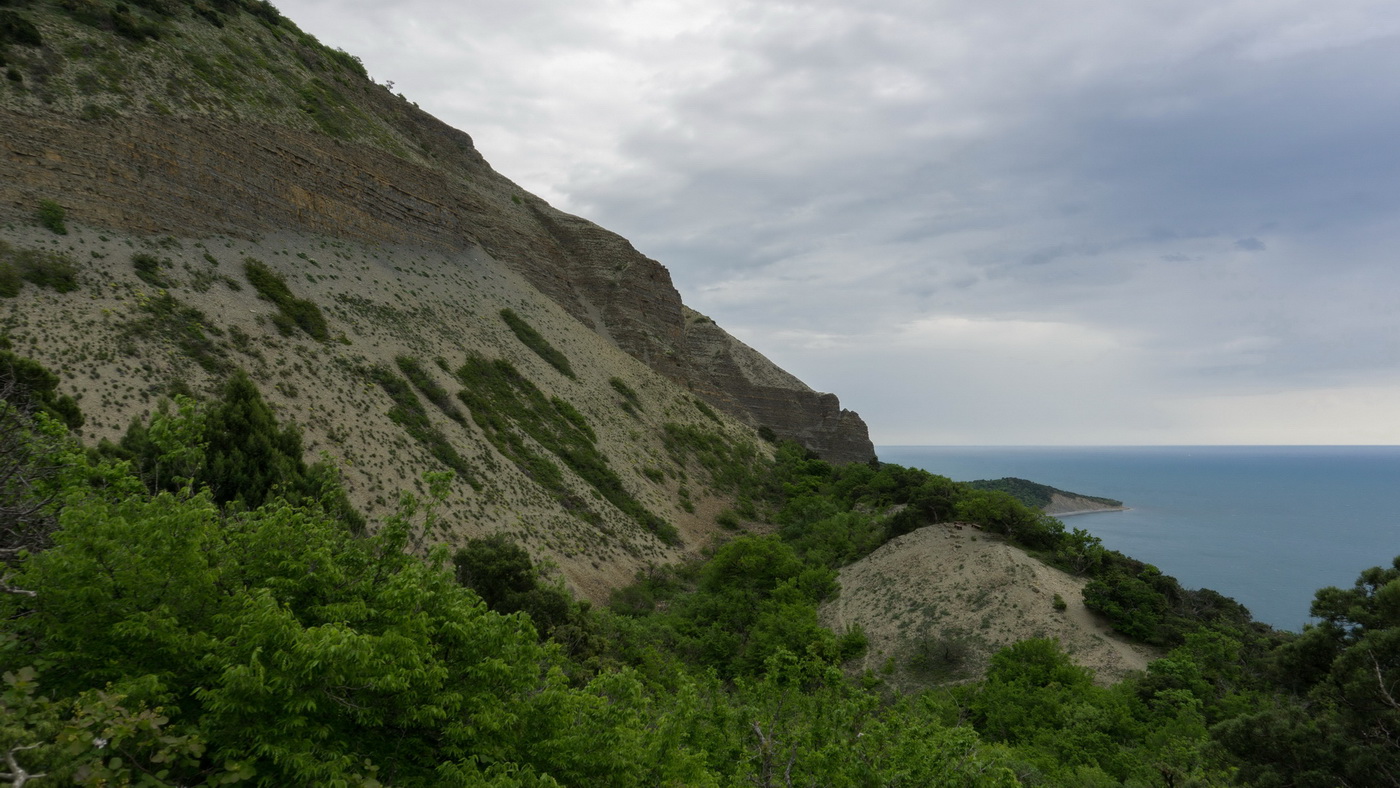 Мыс Большой Утриш, image of landscape/habitat.