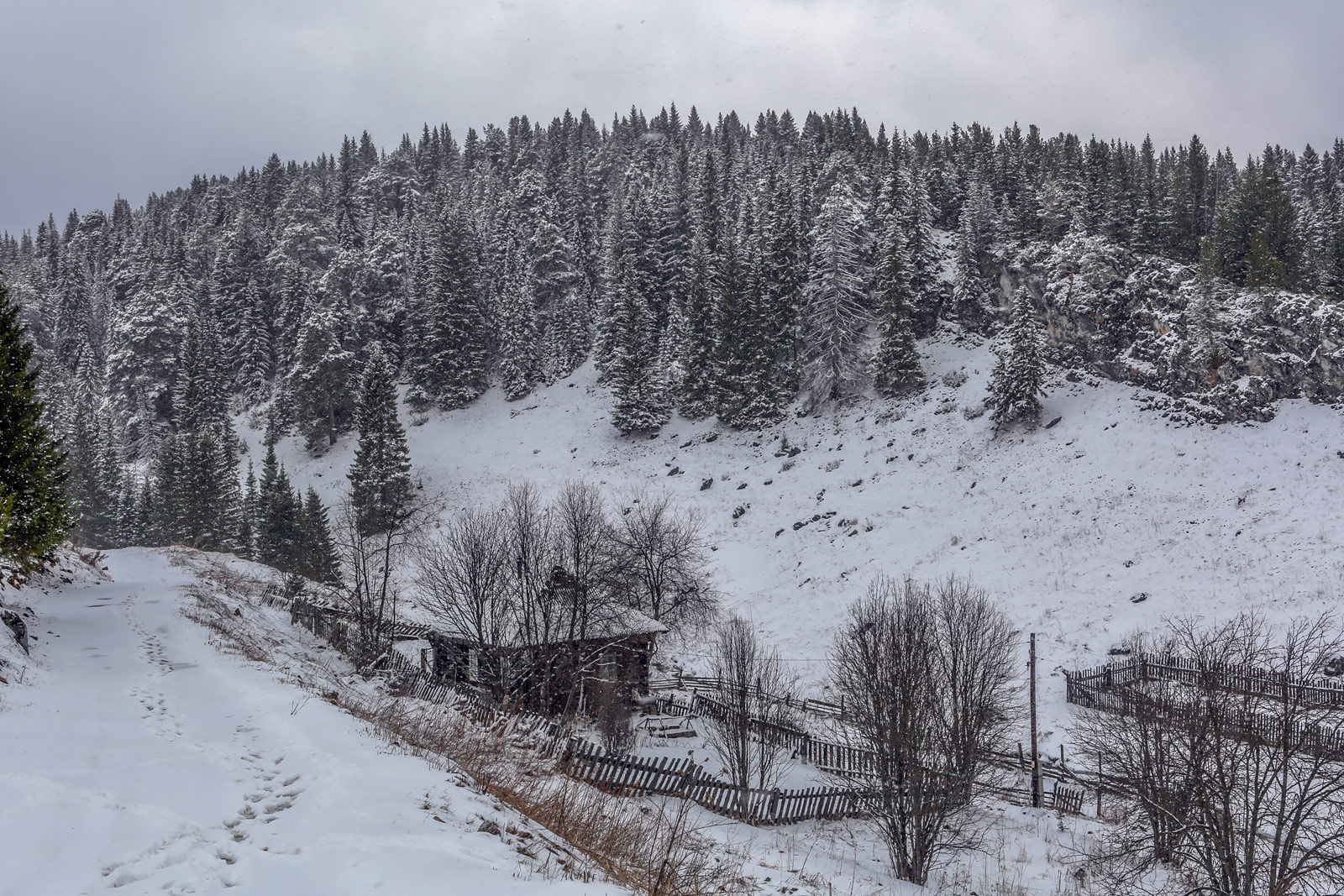 Кын и его окрестности, image of landscape/habitat.