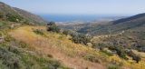 Image of landscape