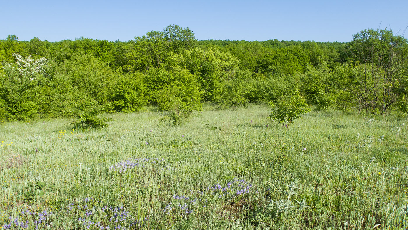 Темрючки, image of landscape/habitat.