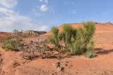 Landscape image