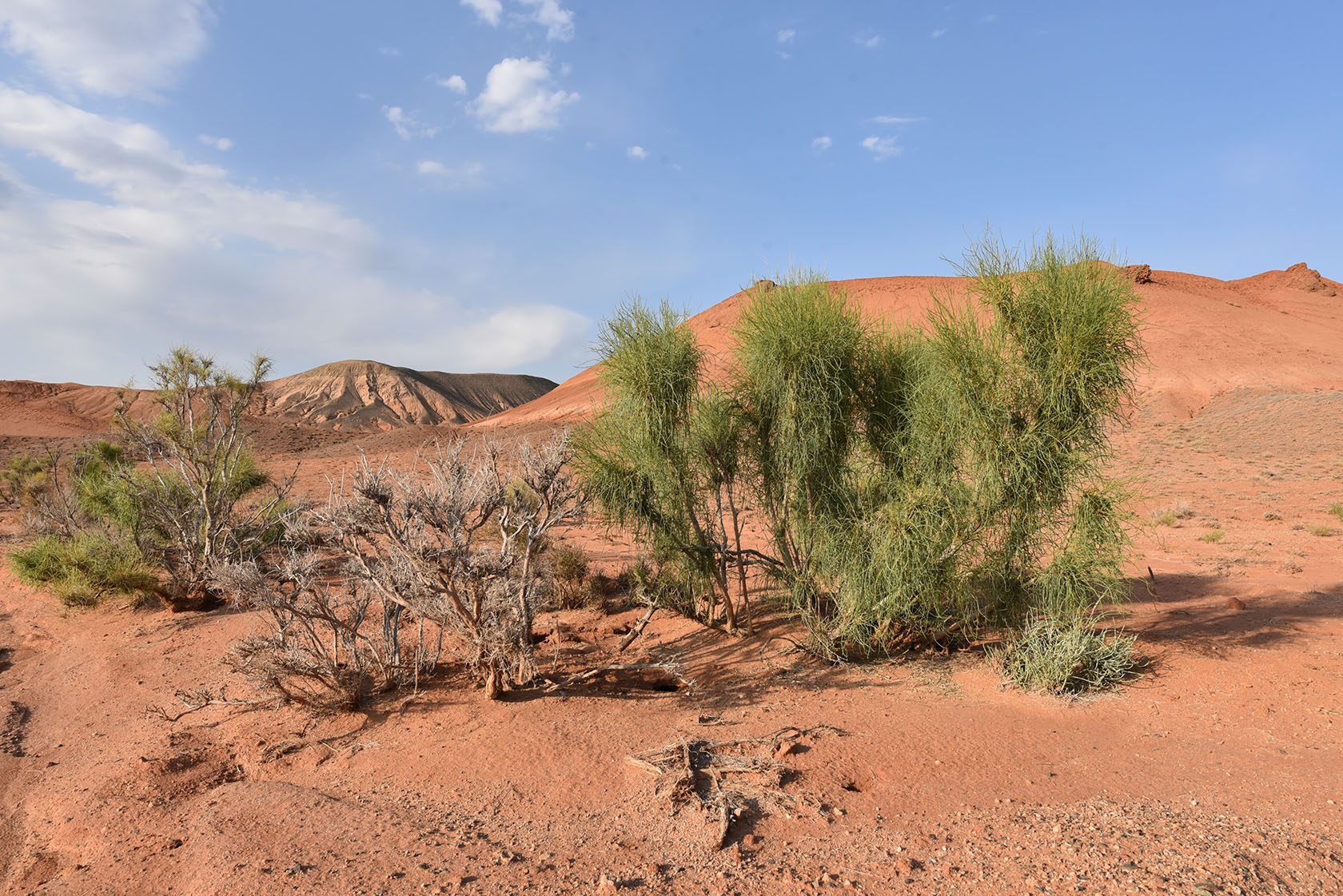 Горы Улькен-Богуты, image of landscape/habitat.