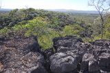 Image of landscape