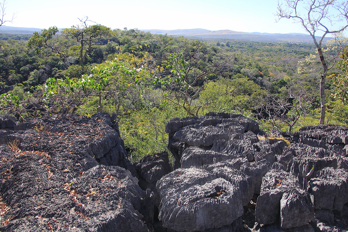 Анкарана, image of landscape/habitat.