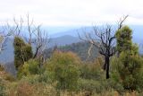 Image of landscape