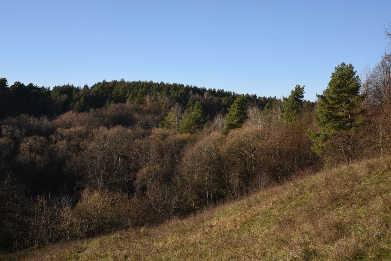 Вокруг хутора учителей Дёшиных, image of landscape/habitat.