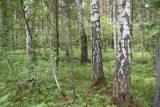 Image of landscape