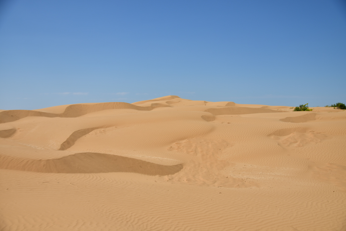 Бархан Большой Брат, image of landscape/habitat.