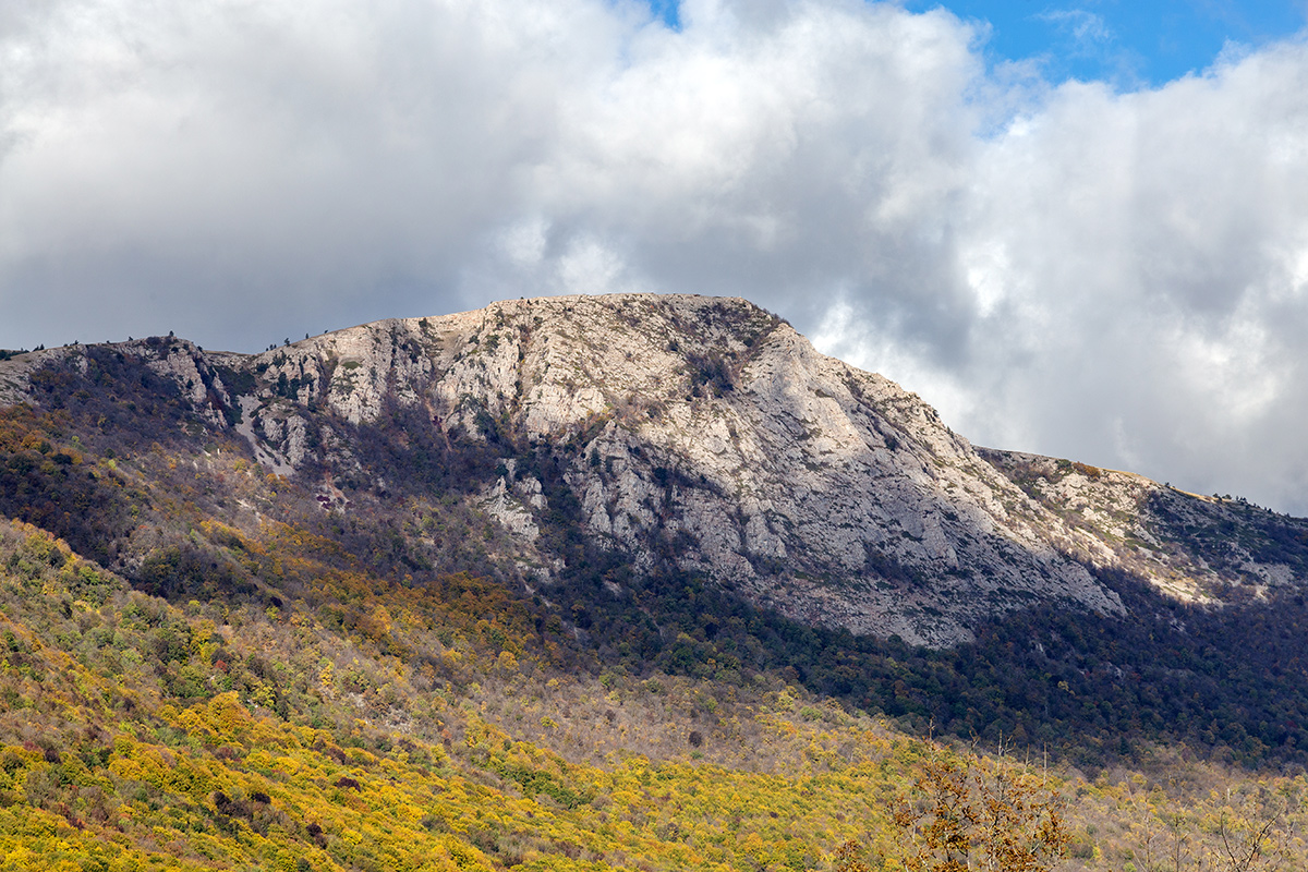 Урочище Парагильмен, image of landscape/habitat.