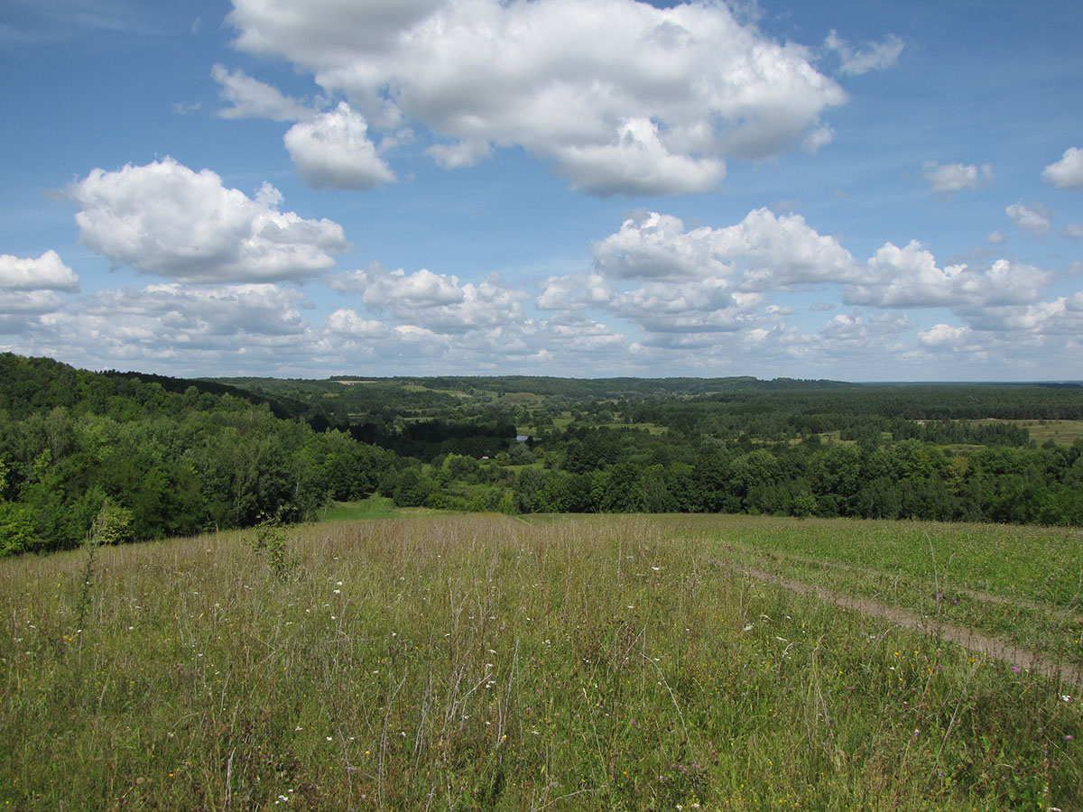 Буровая, image of landscape/habitat.