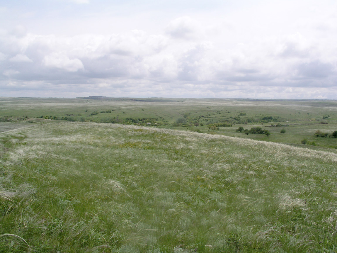 Степь у Каменска-Шахтинского, image of landscape/habitat.