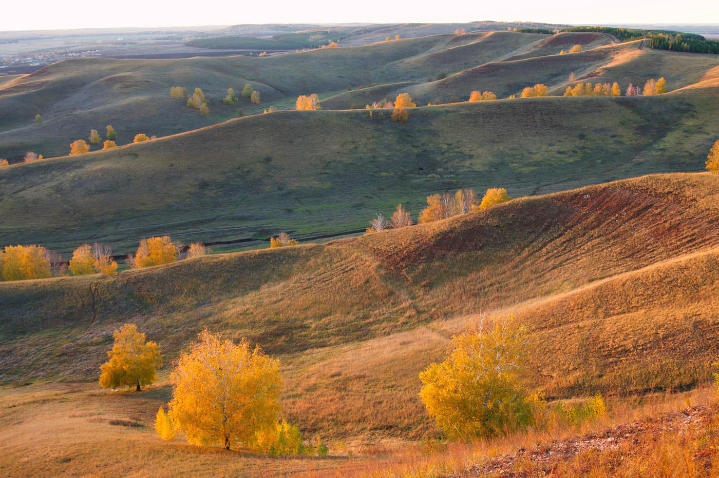 Заказник "Чатыр-Тау", image of landscape/habitat.