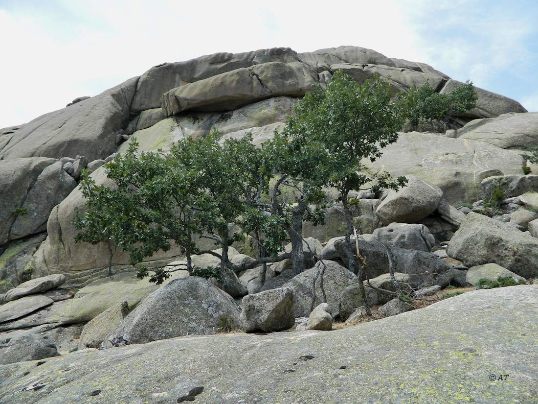 El Yelmo (Эль Ельмо), image of landscape/habitat.