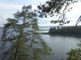 Image of landscape