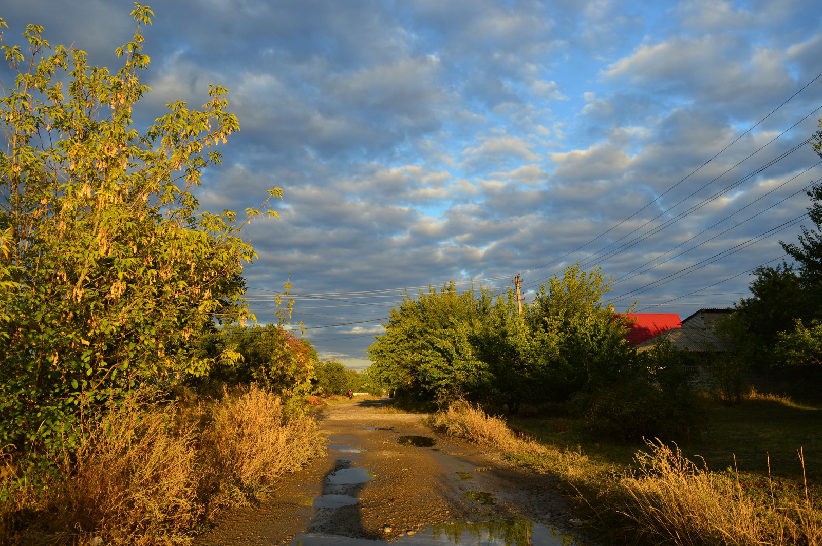 Луганск, image of landscape/habitat.