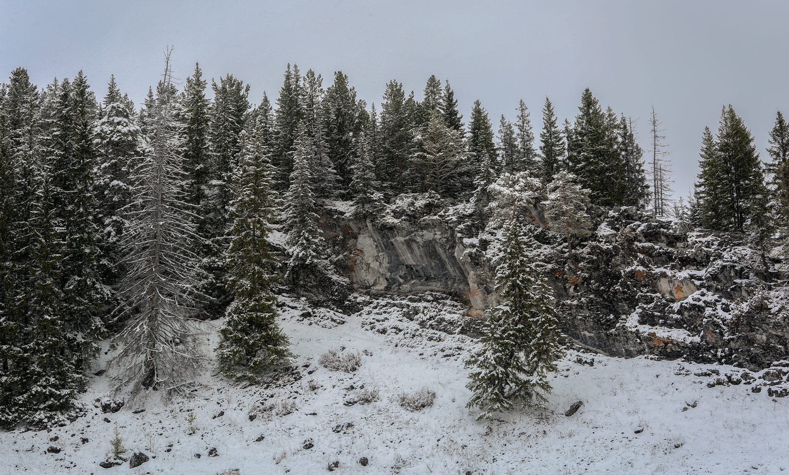 Кын и его окрестности, image of landscape/habitat.