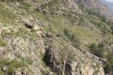 Image of landscape
