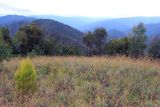 Image of landscape