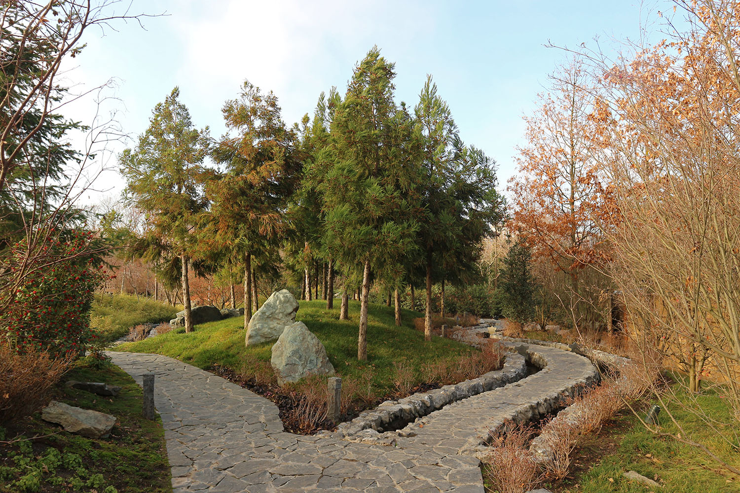 Японский сад в парке Галицкого, image of landscape/habitat.